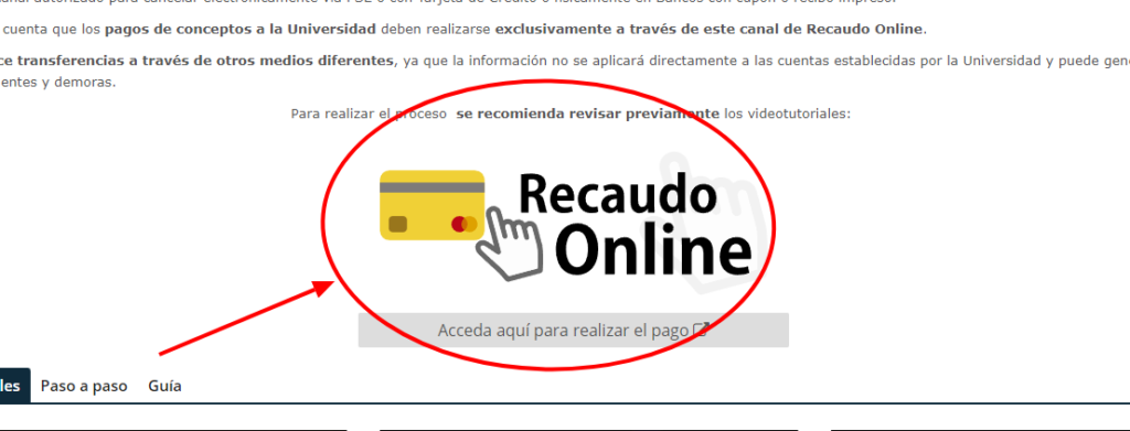 Hacer clic en Recaudo online de nuevo