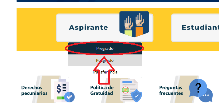 hacer clic en la opción pregrado